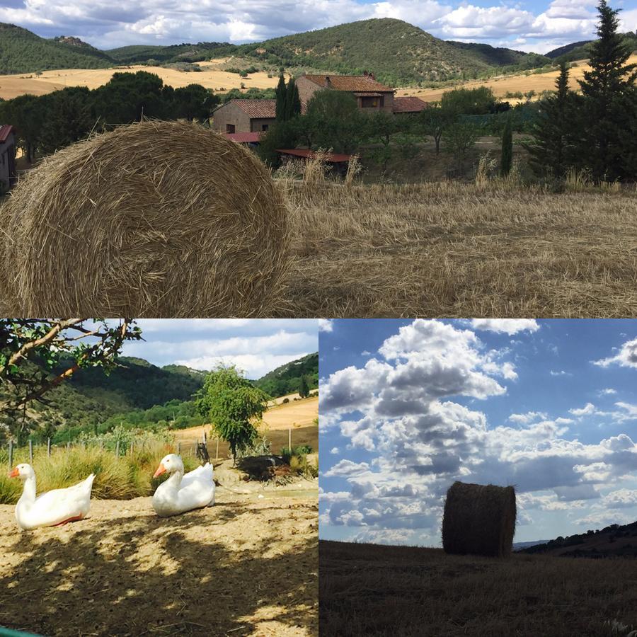 Agriturismo Santa Maria Пиенца Екстериор снимка